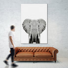 Elephant Portrait by Justinas Jokubauskas on GIANT ART - black photo manipulation