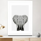 Elephant Portrait by Justinas Jokubauskas on GIANT ART - black photo manipulation