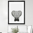 Elephant Portrait by Justinas Jokubauskas on GIANT ART - black photo manipulation