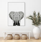 Elephant Portrait by Justinas Jokubauskas on GIANT ART - black photo manipulation