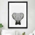 Elephant Portrait by Justinas Jokubauskas on GIANT ART - black photo manipulation