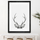 Deer Portrait by Justinas Jokubauskas on GIANT ART - black photo manipulation