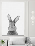 Rabbit Portrait by Justinas Jokubauskas on GIANT ART - black photo manipulation