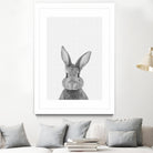 Rabbit Portrait by Justinas Jokubauskas on GIANT ART - black photo manipulation