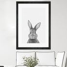 Rabbit Portrait by Justinas Jokubauskas on GIANT ART - black photo manipulation