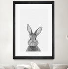 Rabbit Portrait by Justinas Jokubauskas on GIANT ART - black photo manipulation