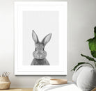 Rabbit Portrait by Justinas Jokubauskas on GIANT ART - black photo manipulation