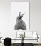 Rabbit Tail by Justinas Jokubauskas on GIANT ART - black photo manipulation