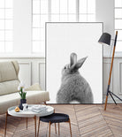 Rabbit Tail by Justinas Jokubauskas on GIANT ART - black photo manipulation