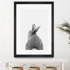 Rabbit Tail by Justinas Jokubauskas on GIANT ART - black photo manipulation