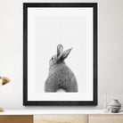 Rabbit Tail by Justinas Jokubauskas on GIANT ART - black photo manipulation