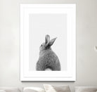 Rabbit Tail by Justinas Jokubauskas on GIANT ART - black photo manipulation