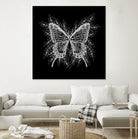 Black and White Butterfly Design by Brigitte Carre on GIANT ART - black digital painting