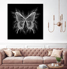 Black and White Butterfly Design by Brigitte Carre on GIANT ART - black digital painting