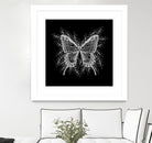 Black and White Butterfly Design by Brigitte Carre on GIANT ART - black digital painting