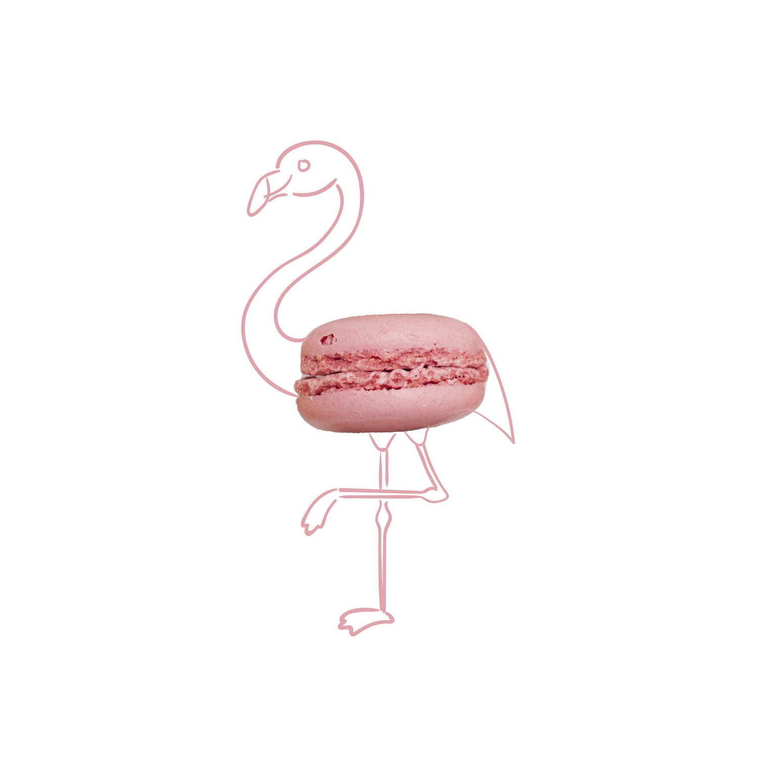 Macaron flamingo by Olivia Lorot on GIANT ART - pink photo illustration