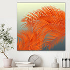 Summer Palm Leaves, Orange by Jiri Svetlik on GIANT ART - orange digital painting