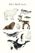 Arctic & Antarctic Animals by Amy Hamilton on GIANT ART - blue mixed media