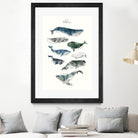 Whales by Amy Hamilton on GIANT ART - blue mixed media