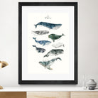 Whales by Amy Hamilton on GIANT ART - blue mixed media