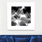 Experiments with Leaves by Tal Paz-Fridman on GIANT ART - gray photo illustration