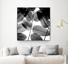 Experiments with Leaves by Tal Paz-Fridman on GIANT ART - gray photo illustration