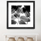 Experiments with Leaves by Tal Paz-Fridman on GIANT ART - gray photo illustration