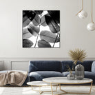 Experiments with Leaves by Tal Paz-Fridman on GIANT ART - gray photo illustration