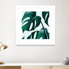 Monstera by Uma Gokhale on GIANT ART - green digital painting