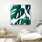 Monstera by Uma Gokhale on GIANT ART - green digital painting