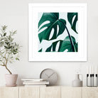 Monstera by Uma Gokhale on GIANT ART - green digital painting