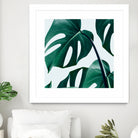 Monstera by Uma Gokhale on GIANT ART - green digital painting