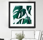 Monstera by Uma Gokhale on GIANT ART - green digital painting