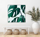 Monstera by Uma Gokhale on GIANT ART - green digital painting