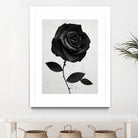 Fabric Rose by Ruben Ireland on GIANT ART - digital painting