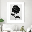 Fabric Rose by Ruben Ireland on GIANT ART - digital painting