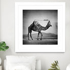 Camel Back by Sarah DeRemer on GIANT ART - gray photo manipulation