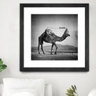 Camel Back by Sarah DeRemer on GIANT ART - gray photo manipulation