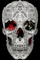 lace skull 2 light 6000 by Ali Gulec on GIANT ART - white digital drawing