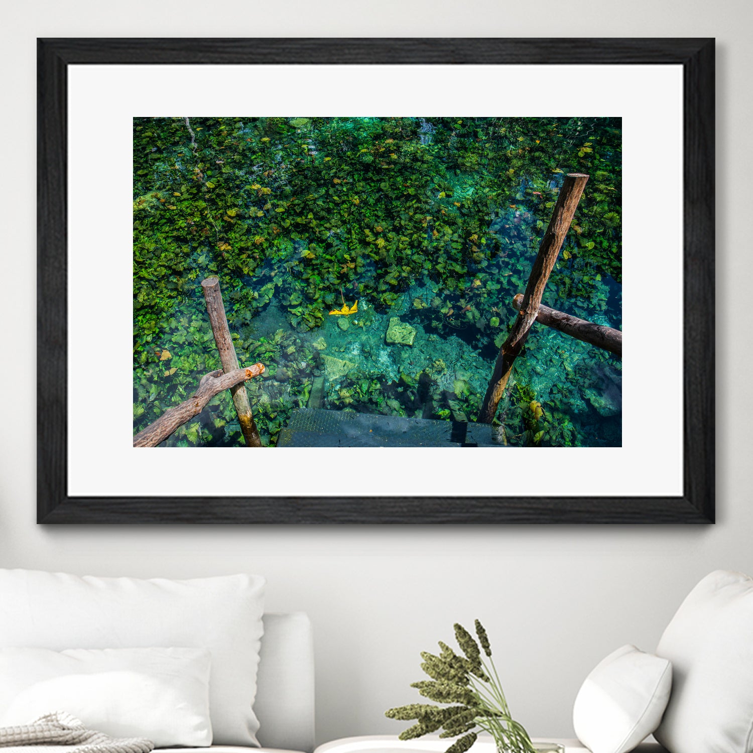 Cenote, Quintana Roo. Mexico by Maricela Castellanos on GIANT ART - green photo illustration