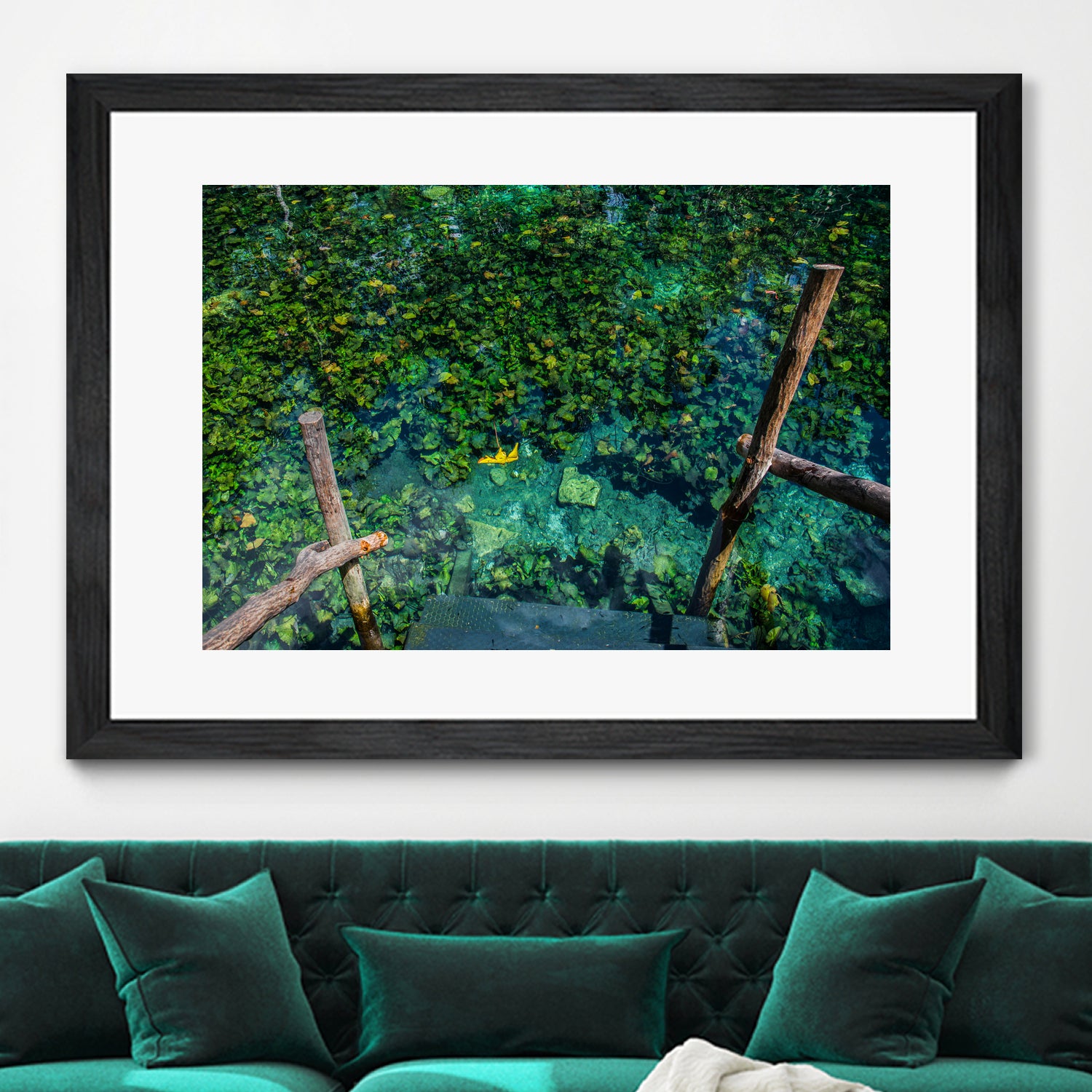 Cenote, Quintana Roo. Mexico by Maricela Castellanos on GIANT ART - green photo illustration