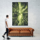 Bamboo Forest II by Pascal Deckarm on GIANT ART - green photo manipulation