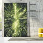 Bamboo Forest II by Pascal Deckarm on GIANT ART - green photo manipulation