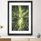 Bamboo Forest II by Pascal Deckarm on GIANT ART - green photo manipulation