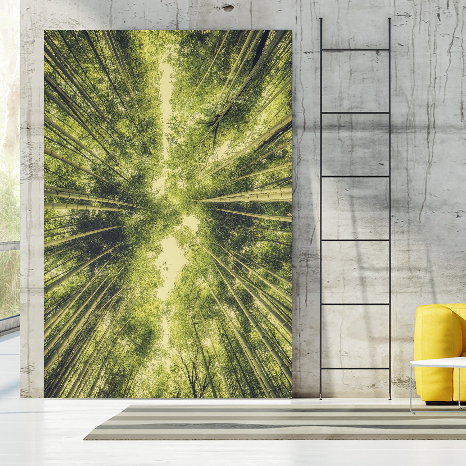 Bamboo Forest III by Pascal Deckarm on GIANT ART - green photo manipulation