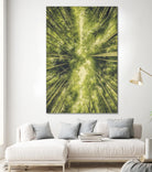 Bamboo Forest III by Pascal Deckarm on GIANT ART - green photo manipulation