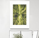 Bamboo Forest III by Pascal Deckarm on GIANT ART - green photo manipulation