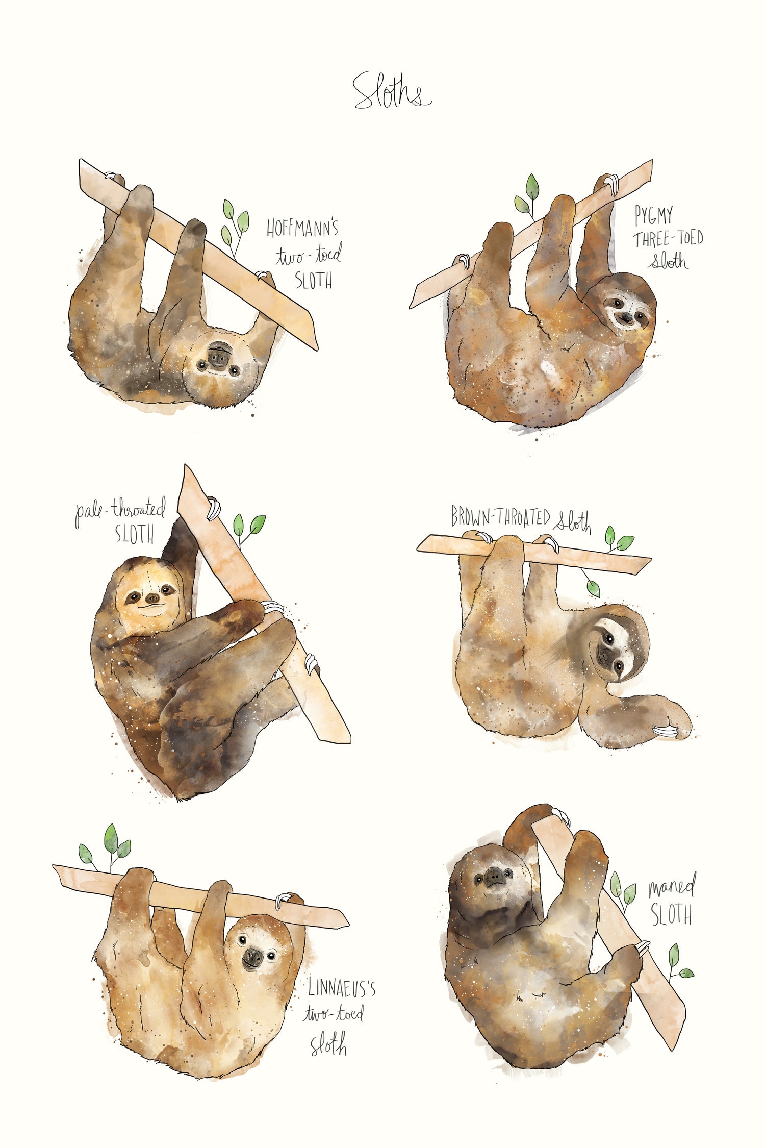 Sloths by Amy Hamilton on GIANT ART - brown mixed media