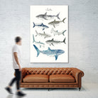 Sharks by Amy Hamilton on GIANT ART - blue mixed media