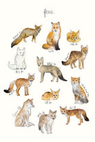 Foxes by Amy Hamilton on GIANT ART - brown mixed media